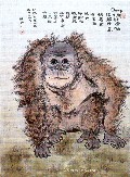 Baby Chimpanzee